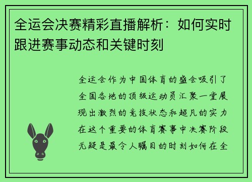 全运会决赛精彩直播解析：如何实时跟进赛事动态和关键时刻