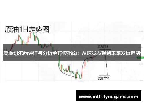 威廉切尔西评估与分析全方位指南：从球员表现到未来发展趋势